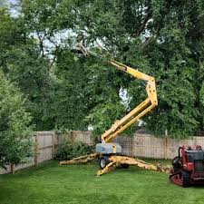 Best Commercial Tree Services  in Buena Vista, VA